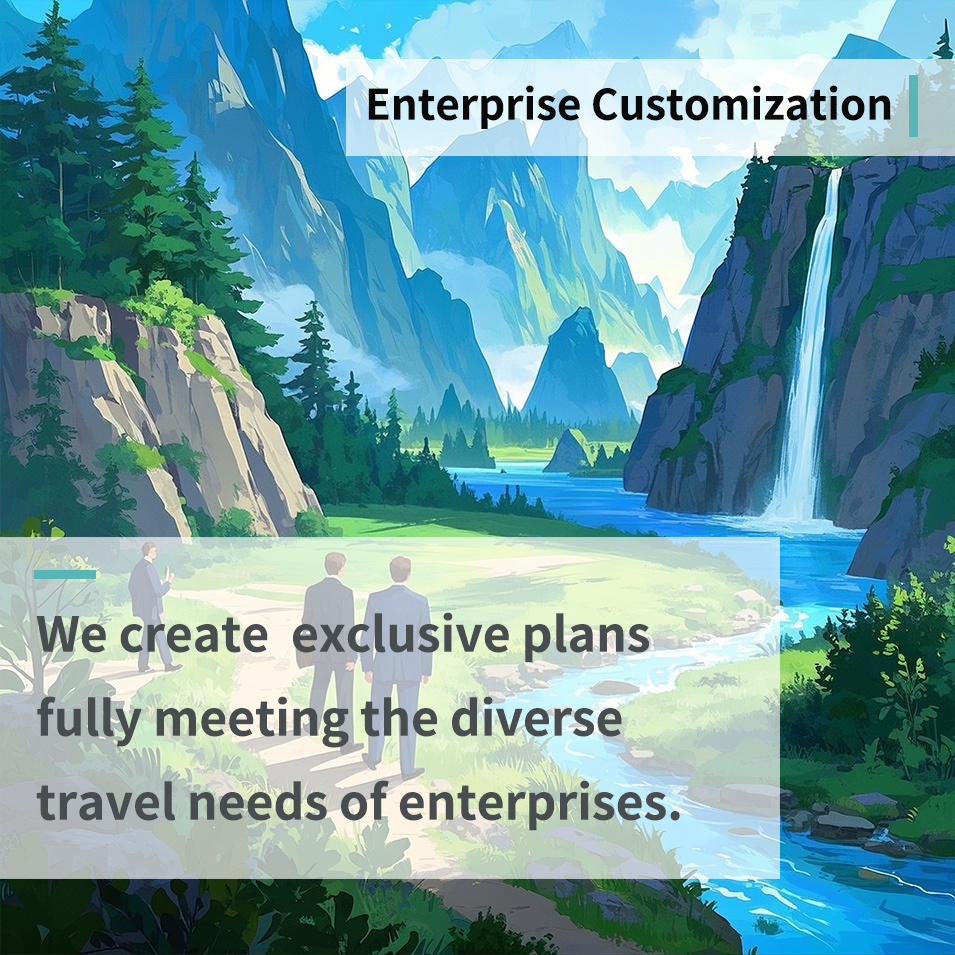 Enterprise customization