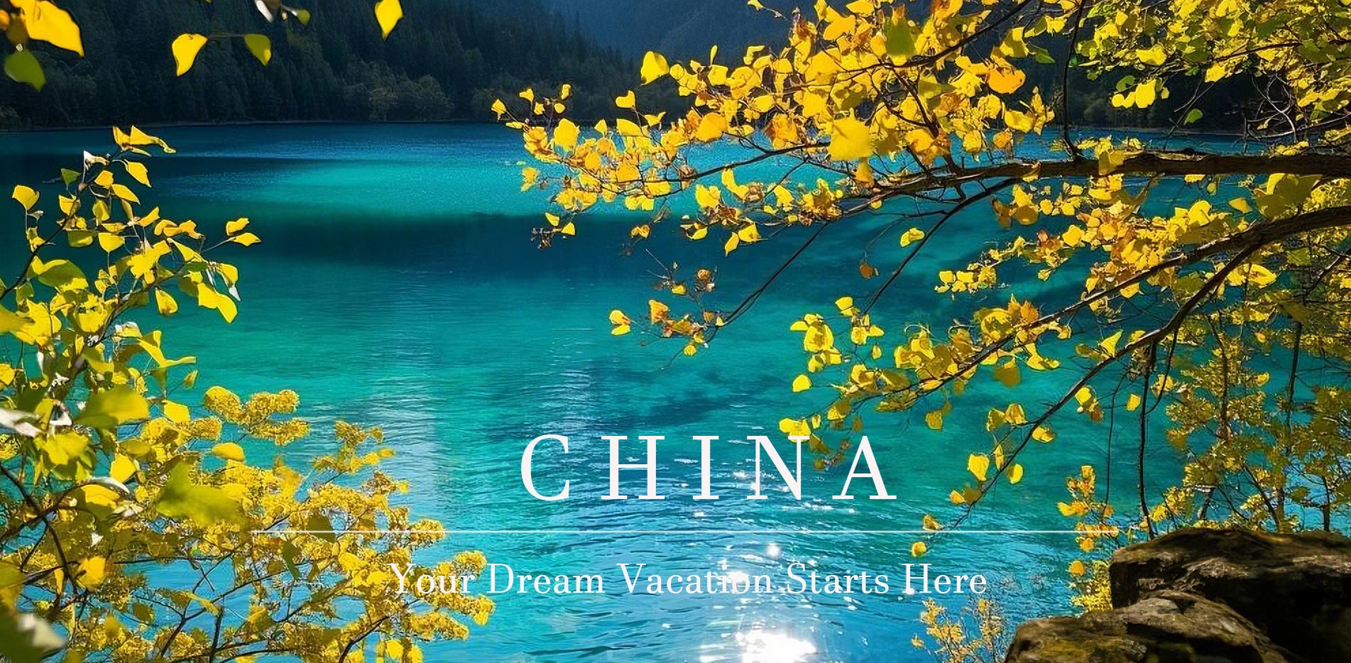 通栏图片